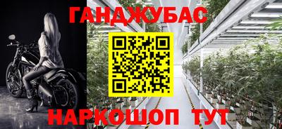 стаф Сланцы