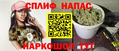 стаф Сланцы