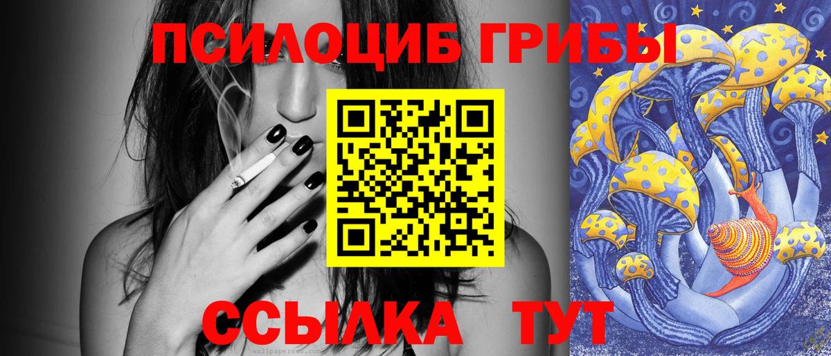 Галлюциногенные грибы прущие грибы  Вход с VPN  купить наркотик  Прокопьевск 