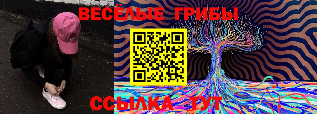 Псилоцибиновые грибы GOLDEN TEACHER Прокопьевск